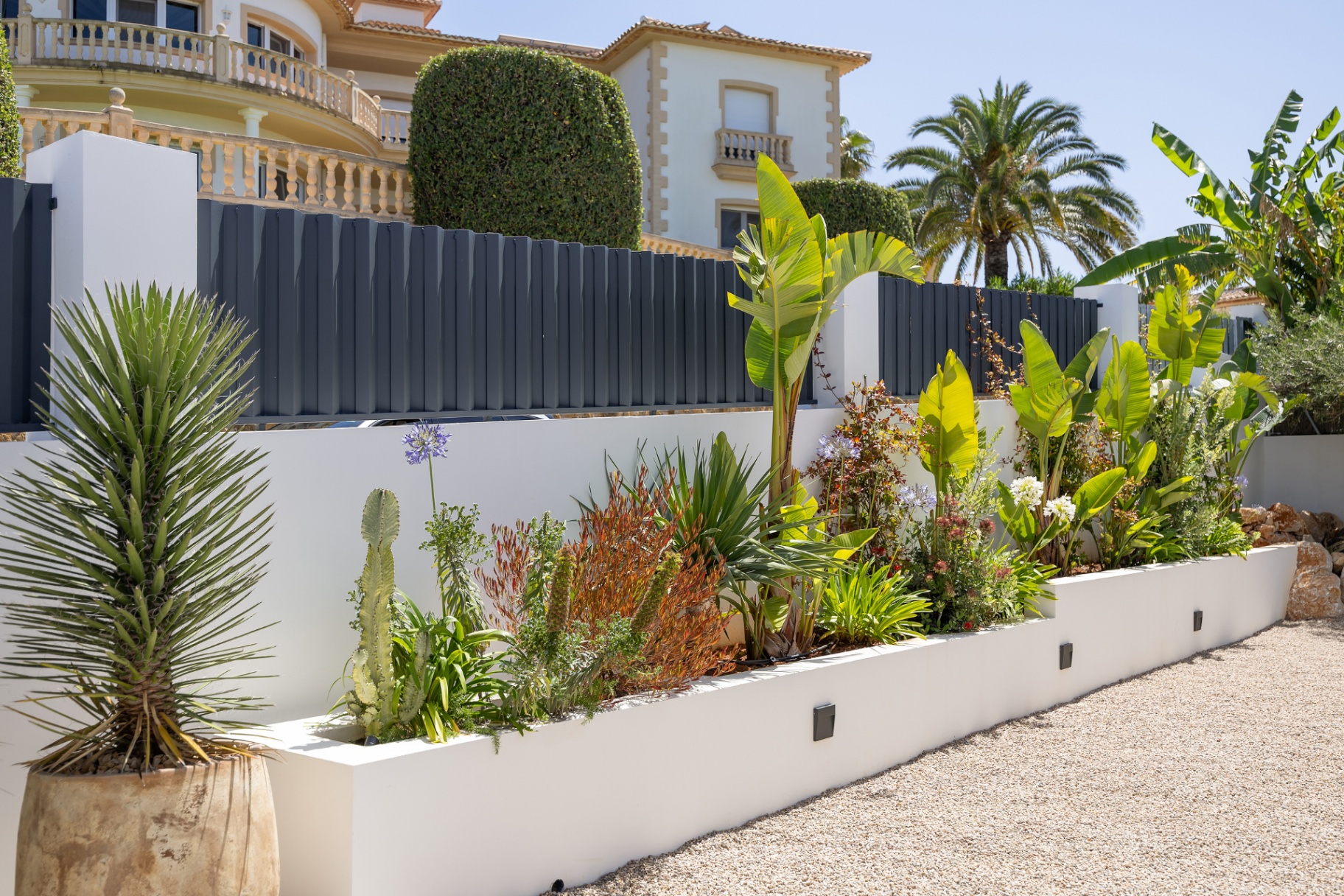 Mediterrane voortuin met plantenbak en palmen